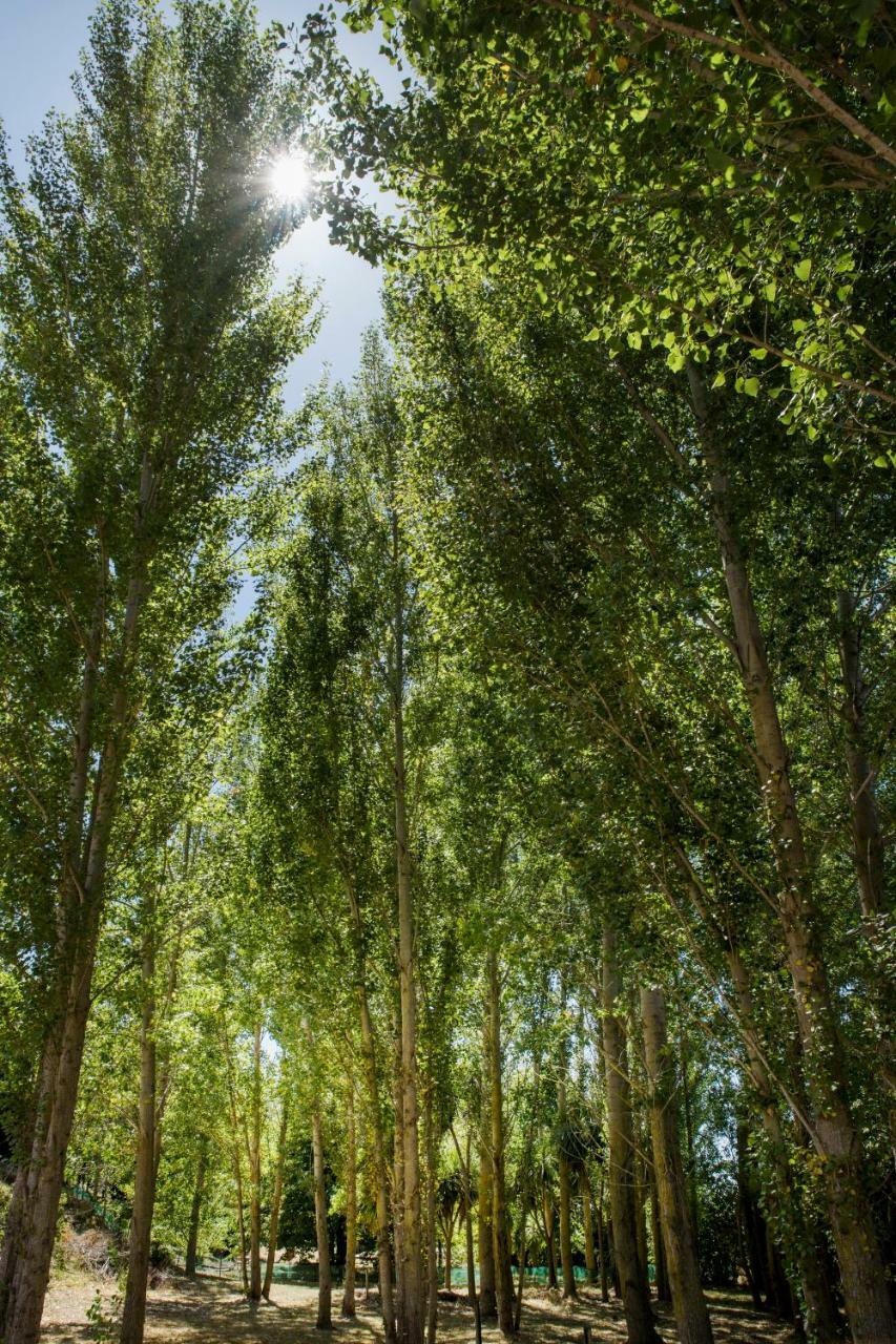 Willow'S Green Blenheim Kültér fotó